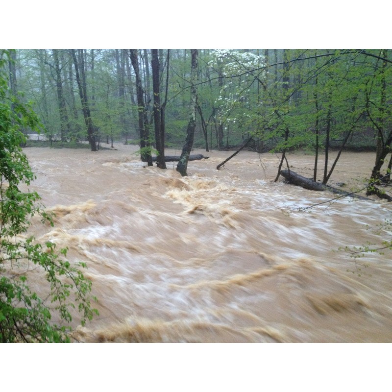 Goldn Gold Paydirt Eureka Panning Pay Dirt Bag – Gold