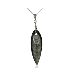 Jurassic Jewellery Beautiful Fossil Orthoceras Pendant - Boxed And on Sterling Silver Chain