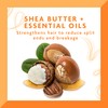 Cantu Shea Butter Daily Oil Moisturizer, 13 Ounce by Cantu