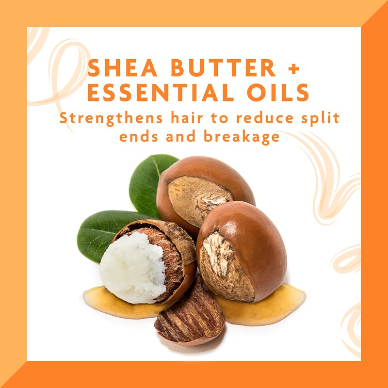 Cantu Shea Butter Daily Oil Moisturizer, 13 Ounce by Cantu