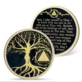 AtSKnSK 10 Year Sobriety Coin 1-10 Years Tree of Life Sobriety Coin AA Chip Locket Gifts for Women and Men Recovery Gift for Alcoholics Anonymous (10 Year)