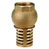 1 1/4" BSP Female Check Foot Valve Suction Brass Non