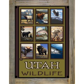 Utah Wildlife Forest Collage Metal Print on Reclaimed Barn Wood from Travel Artwork by Artist Paul A. Lanquist 8.5" x 11.5"