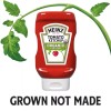 Heinz New Exclusive Heinz Organic Certified Home Grown Tomato Ketchup
