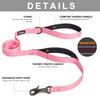 Fida 4 FT Heavy Duty Dog Leash with 2 Comfortable