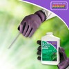Bonide Sucker Punch, 8 oz Ready-to-Use Sprout Control Liquid with