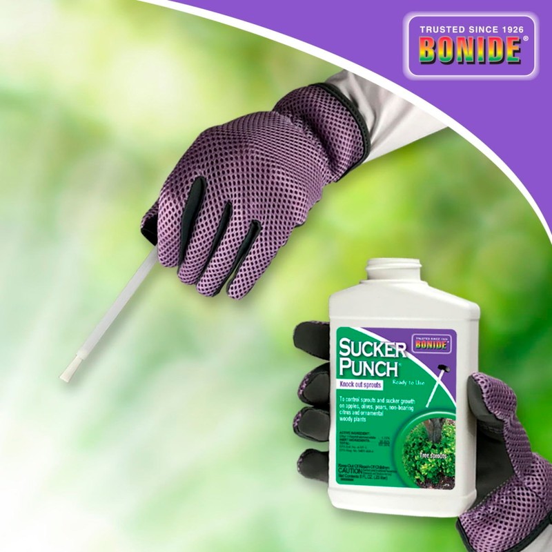 Bonide Sucker Punch, 8 oz Ready-to-Use Sprout Control Liquid with