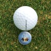 GRAPHICS & MORE All Labs Matter Labrador Dogs Golf Divot