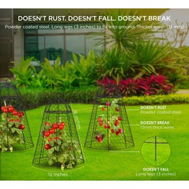 boldworks Garden Cloches for Plants Chicken Wire Cages to Protect from Animals Outdoor Extra Large Rustproof Thicker and Finer Mesh 12" x 20" Pack of 6