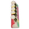 Dental Teeth Model Ceramic Clear Structure Oral Care Educational Periodontal