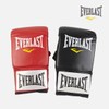 Everlast Professional Back Gloves Back Gloves Fighting Gloves / 에버라스트 프로페셔널 백장갑 백글러브 격투기글러브