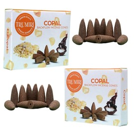 Copal Backflow Incense Cones - Total 20 Incense Cones Waterfall - Dual Pack of 10 Incense Backflow Cones - Waterfall Incense Cones - Incense Waterfall Cones