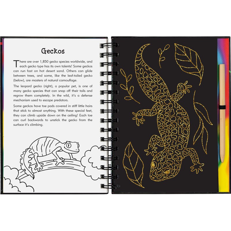Scratch & Sketch Reptiles & Amphibians