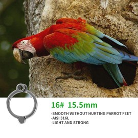 Bird Foot Rings 316L Stainless Steel Bird Harness Outdoor Parrots Leg Ring Outdoor Fly Training Activity Opening Clip Accessories for Parrots(15.5mm)