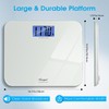 Talking Scales for Body Weight, Highly Accurate Digital Talking Bathroom