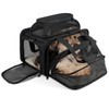 pidipiti top and 1 Side Expandable, 17x11x11 Soft-Sided pet Carrier,