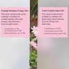 Frosted Glass Window Film Non Adhesive, Static Cling,Window Privacy Film