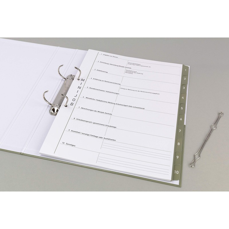 Theme Ring Binder with Tabs / Dividers - Mini Jobber