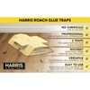HARRIS Roach Glue Traps Pest Cockroach Insect Killer Pesticide Free