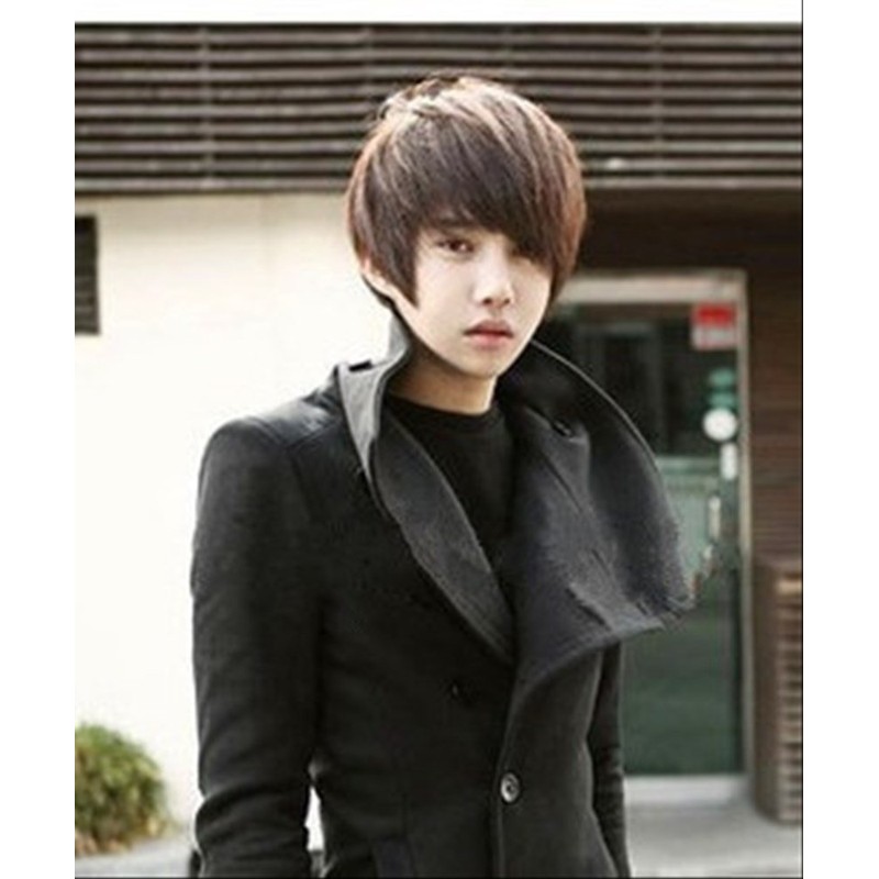 [Everyday Men's Wig Three Colors] Short Full Wig / Wig