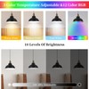 Battery Operated Pendant Lights,Rechargeable Pendant Light with Remote,Black Gold Pendant
