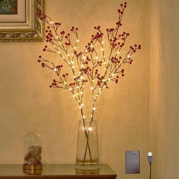 LITBLOOM Lighted Red Berry Branches 80 LED Fairy Lights with