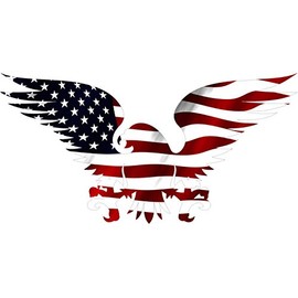 Rogue River Tactical Large 10x6 American Eagle USA Flag Car Decal Window Die Cut Patriotic Auto Bumper Sticker Vinyl Decal for Car Truck RV SUV Boat Support US Military