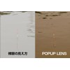 Bunny Walk BW-021 BW-0212C Polarized Sunglasses, Brown Demi HC-BROWN Pop