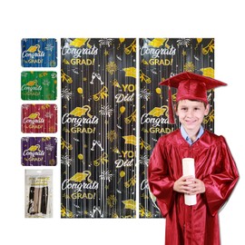 5 Pcs Foil Tassel Curtains for Graduation Party Decoration Graduation Photo Booth Props Backgrounds