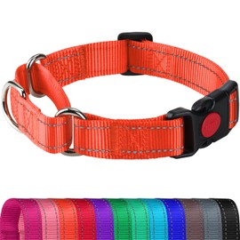 Joytale Martingale Collar for Dogs, Reflective Heavy Duty Dog Collar for Safety, Quick Release Buckle, Adjustable Nylon Collars for Large Breed Dogs Walking Training, Orange,L