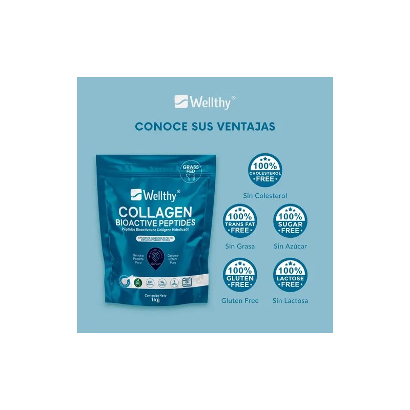 Péptidos Bioactivos De Colágeno Hidrolizado 1kg Wellthy Sabor Sin Sabor