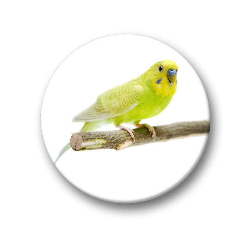 Merchandise for Fans Budgies Budgies Yellow / Blue / Green