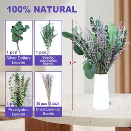 beerfingo 26 PCS Mix Dried Eucalyptus & Lavender Flowers Bundles for Shower, 17'' Natural Real Hanging Silver Dollar Eucalyptus Leaves Stem, Fresh Shower Plants, Fragrance, Wedding Decor