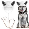 Haysandy 3 Pcs Halloween Big Bad Wolf Dog Costume Granny