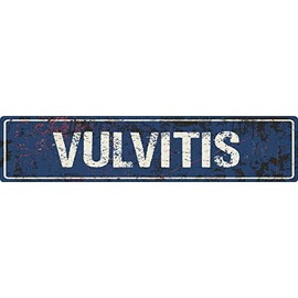 ANY AND ALL GRAPHICS Vulvitis 4"x18" Blue Grunge Style Rustic Vintage Look Novelty Aluminum Street Sign