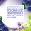 Mentos Pure Fresh Sugar-Free Chewing Gum with Xylitol, Grape Medley,