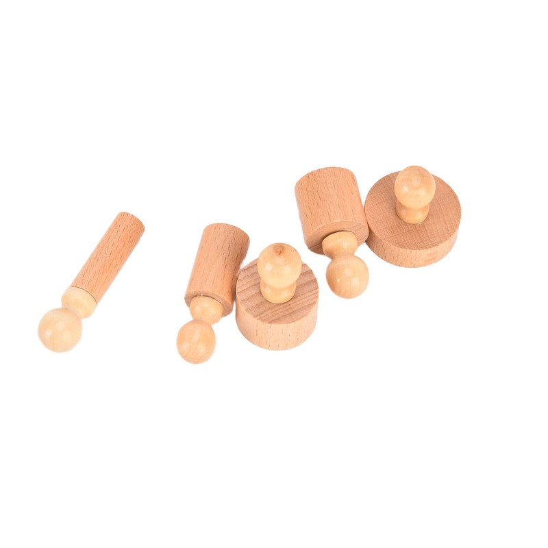 Montessori Cylinder, Home Version Beech Cylinder Socket Toy Early Education