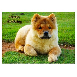 Chow Chow Dog Birthday Card