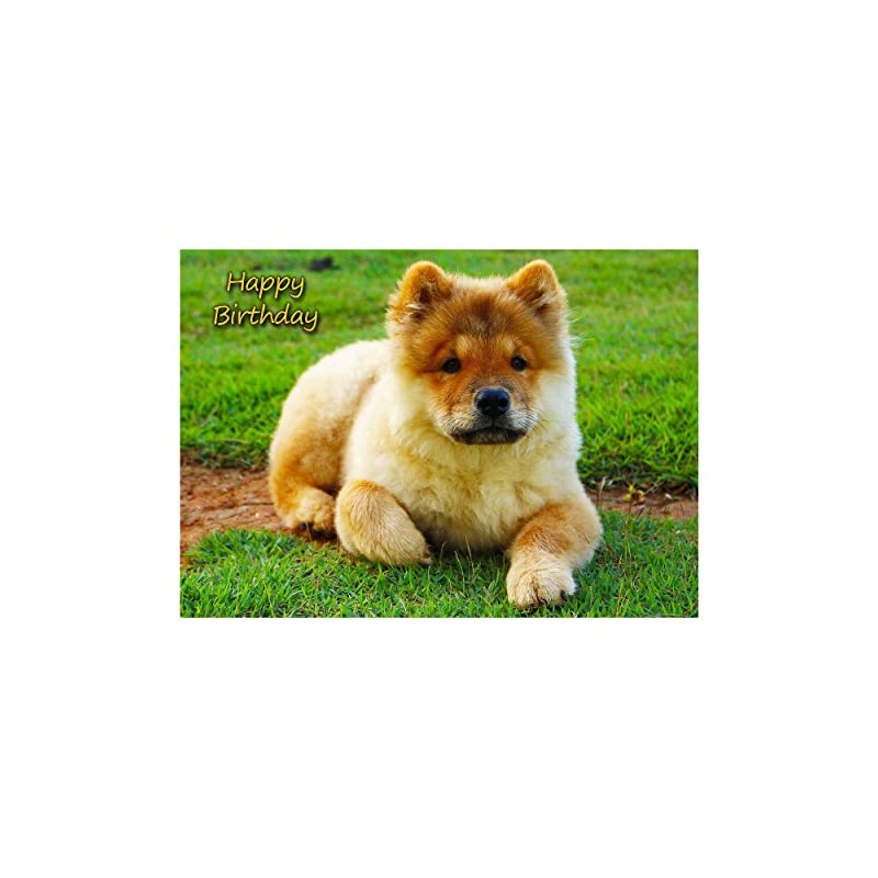 Chow Chow Dog Birthday Card