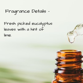 Generic Lotion Bar 2 oz Handmade, Use for Massage or Daily Skin Moisturizing, Customize With Optional FREE Additives, Oval Shaped Floral Design (Eucalyptus)