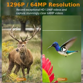 BLAZEVIDEO 2-Pack Trail Game Cameras 48MP 1296P Video No Glow Night Vision 110° Field of View Motion Activated IP66 Waterproof for Outdoor Wildlife Hunting, Animal Observation, Backyard Security
