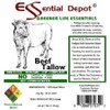Essential Depot Beef Tallow - 7 lb - PP container