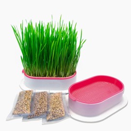 NEKOSEKO Cat Grass Hydroponics,Can Be Used Three Times, Indoor Soilless Cat Grass Kit, Easy to Operate, 100% Organic,Cat Grass Cup, Indoor Cat Grass.（Pink）