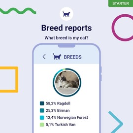 Koko Genetics DNA Test for Cats Starter - (Breeds and Traits Reports) - Upgrades at no cost