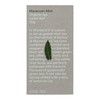 Love Tea Moroccan Mint Loose Leaf Tea, 50g
