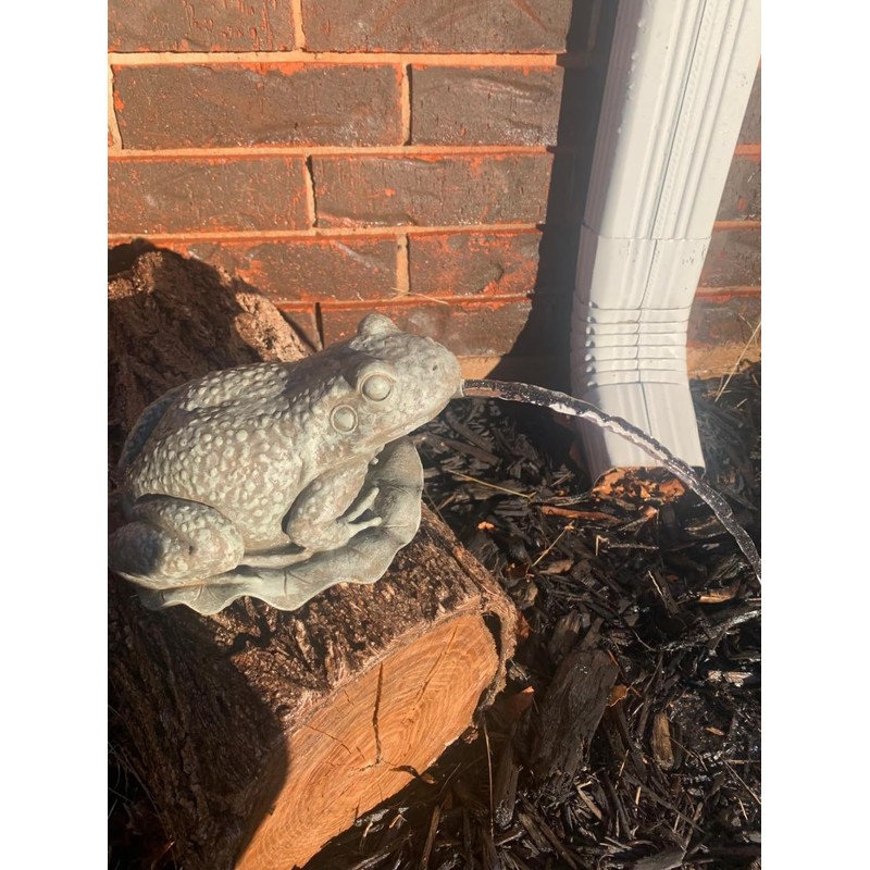 Frog Pond Water Spitter Aerator