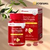 Roniewell 면역케어 레드 프로폴리스 60캡슐 (1개월분) Immune Care Red Propolis