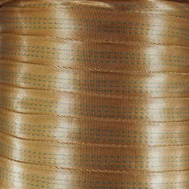 West Coast Paracord 1-Inch Tubular Nylon Webbing – Premium Heavy Duty Lightweight with Breaking Strength of 4000 Pounds – Outdoor All Purpose Straps for Climbing and Securing (Tan, 5 Yards)