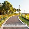 Solar Powered Flower Lights Waterproof Outdoor Solar Garden Stake Lights