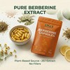 Berberine Capsules 600mg (25:1 Extract) – High Strength Berberine Supplement